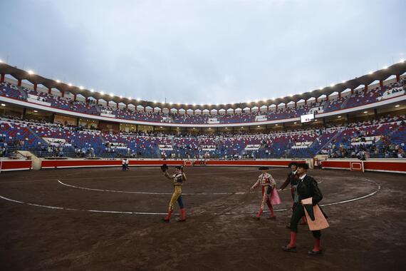 Bullfighting collapses in Spain despite subsidies and institutional support Bullfighting collapses in Spain despite subsidies and institutional support