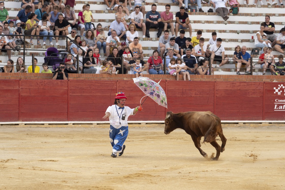 Ayúdanos a evitar los espectáculos taurinos ilegales como los que se realizan en Teruel