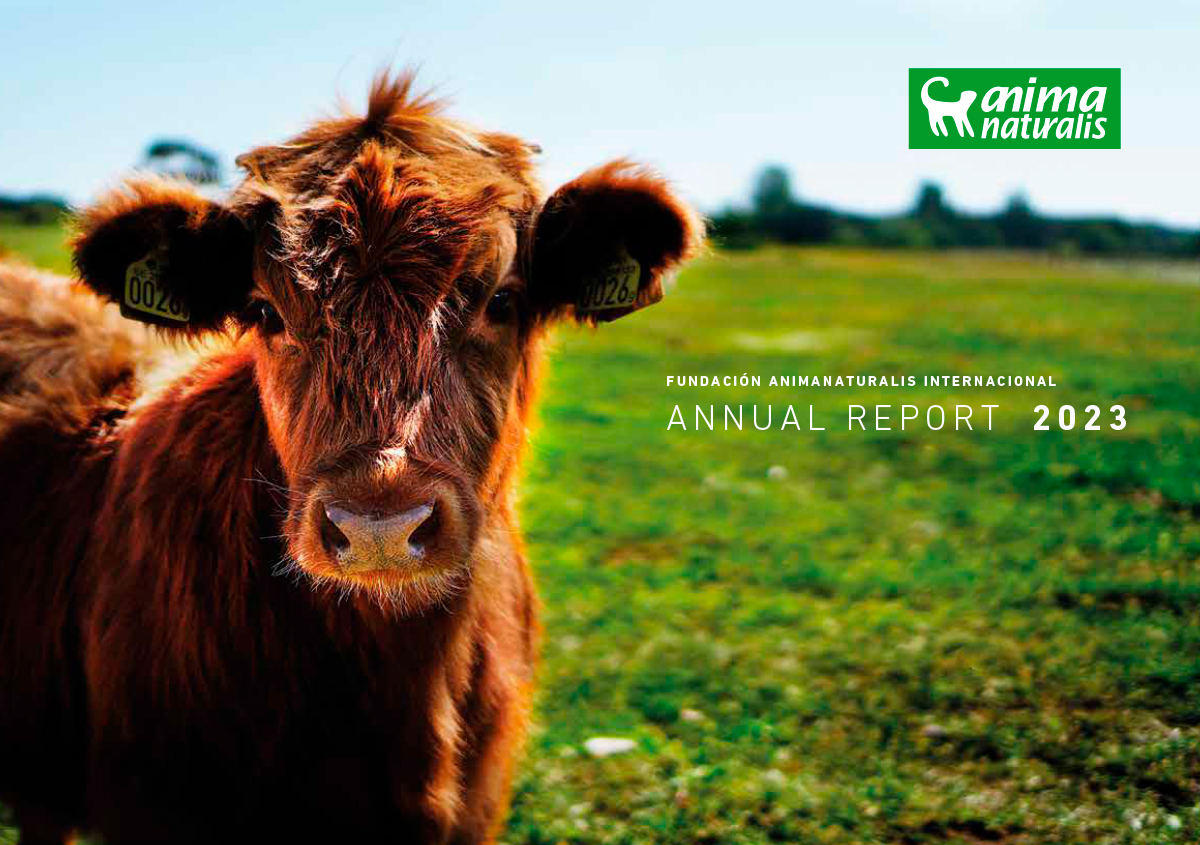 AnimaNaturalis presents its 2023 Annual Report: a year full of actions and progress for animals