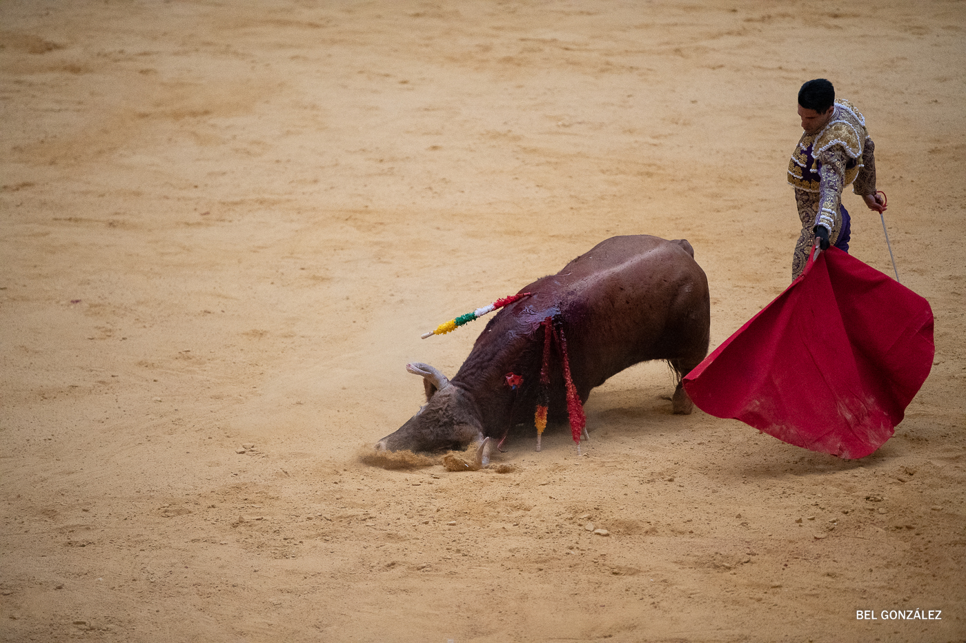 BOE publica la decisión del Ministerio de Cultura de eliminar el Premio Nacional de Tauromaquia