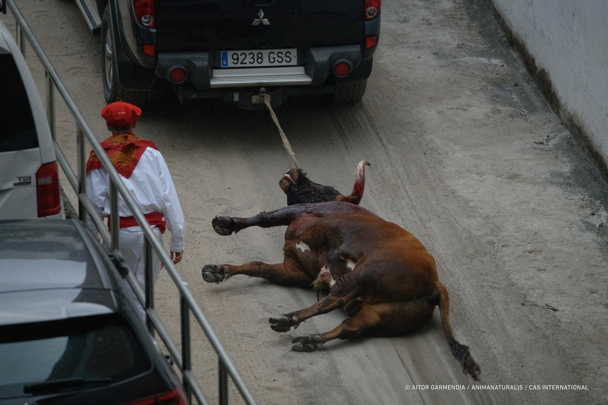 We expose the brutal reality behind bullfighting: A slaughterhouse disguised as culture