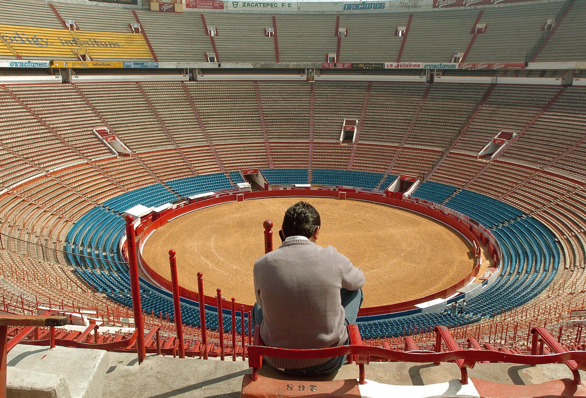 AnimaNaturalis reaviva el debate sobre la abolición de las corridas de toros en las jornadas parlamentarias "Tauromaquia en el Siglo XXI"