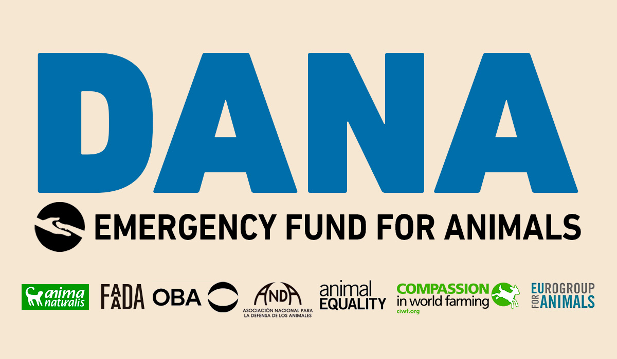 Join the Emergency Fund for Animals and Help DANA's Animal Victims