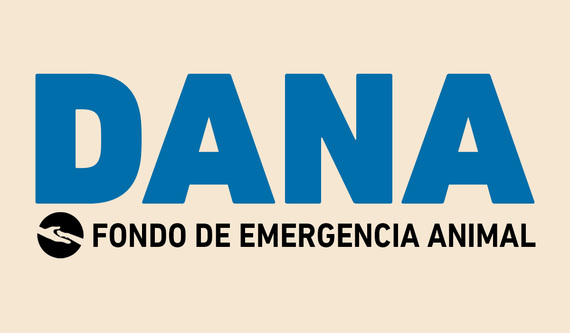 Súmate al Fondo de Emergencia para los Animales y ayuda a los animales víctimas de la DANA