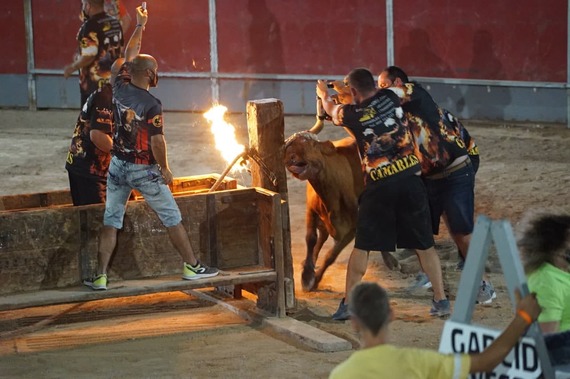 We Uncover The Reality Of Cruel Traditions In Spain Animanaturalis