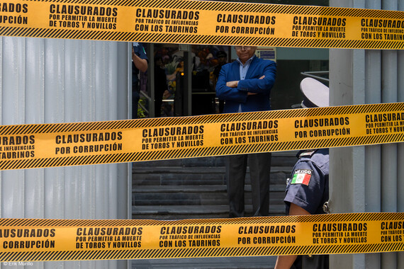 Clausurada la Secretaría de Agricultura Federal por permitir la matanza ilegal de toros en México