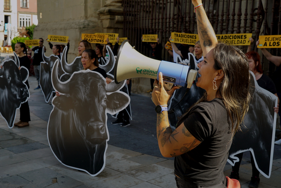 77% of spaniards demand an end to bullfighting and 80% reject hunting