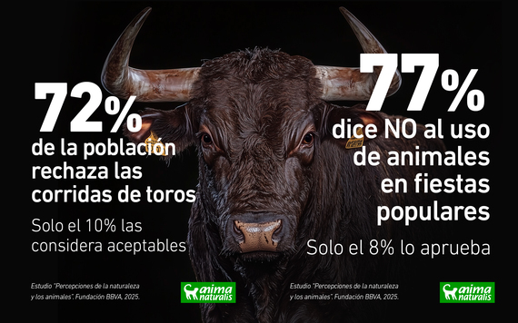 77% de la población española exige el fin de las corridas de toros y el 80% no acepta la caza