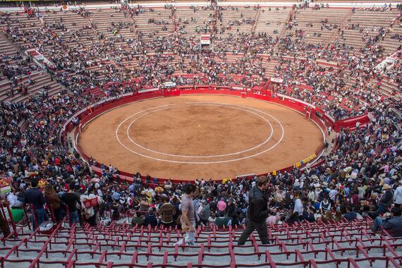 Justicia capitalina despeja el camino para prohibir la tauromaquia en Ciudad de México