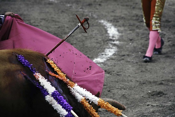 Plaza Monumental de México anuncia que realizar corridas de toros es completamente inviable por la nueva normativa de Ciudad de México Plaza Monumental de México anuncia que realizar corridas de toros es completamente inviable por la nueva normativa de Ciudad de México