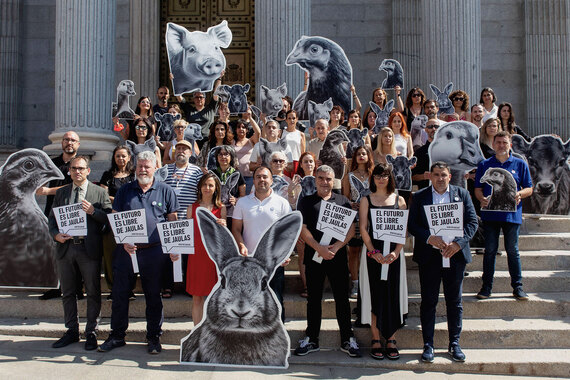 Activists and politicians demand a Cage-Free Europe Activists and politicians demand a Cage-Free Europe