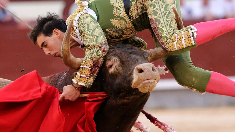 La tauromaquia queda fuera por tercer año consecutivo de las Medallas de Oro de las Bellas Artes La tauromaquia queda fuera por tercer año consecutivo de las Medallas de Oro de las Bellas Artes