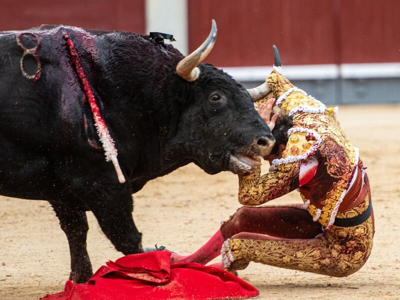 A bitter anniversary for bullfighting marks the end of bloodshed at Mexico City’s Monumental Plaza A bitter anniversary for bullfighting marks the end of bloodshed at Mexico City’s Monumental Plaza