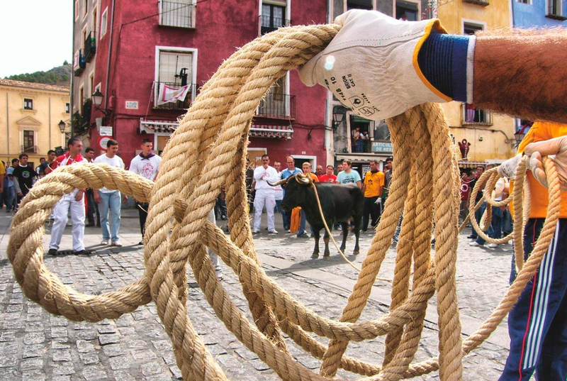 AnimaNaturalis appeals the decision to dismiss a complaint against bullfighting events held outside recognised festivities in La Ràpita AnimaNaturalis appeals the decision to dismiss a complaint against bullfighting events held outside recognised festivities in La Ràpita