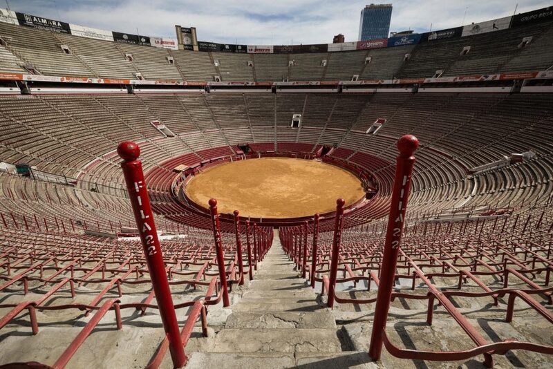 Un año sin sangre en la plaza más grande del mundo Un año sin sangre en la plaza más grande del mundo