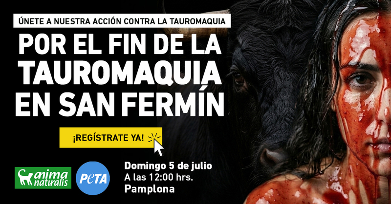 Este San Fermín, defiende a los animales en Pamplona Este San Fermín, defiende a los animales en Pamplona